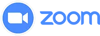 Zoom Icons