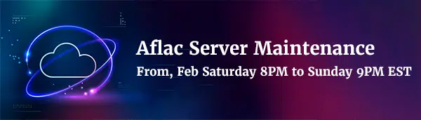 Server Maintenance App1